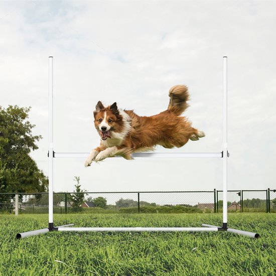 Boon Agility Set 6x Stok Springring en horde