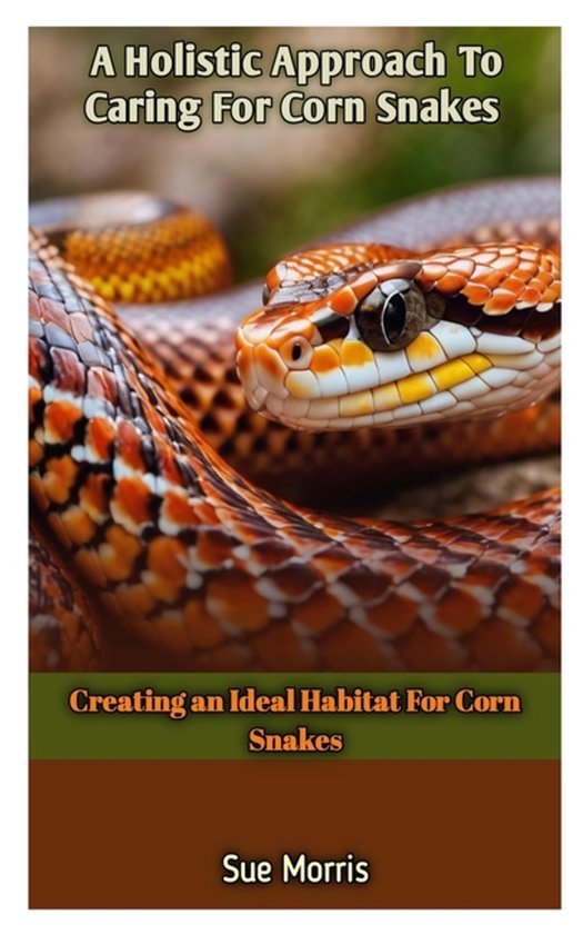 Een close-up van een maïs slang met oranje, bruine en zwarte patronen, met de titel 'A Holistic Approach To Caring For Corn Snakes'.