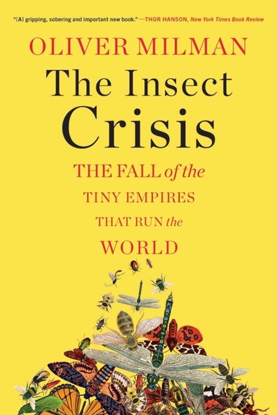 The Insect Crisis - cover