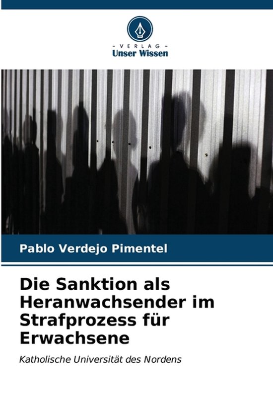 Die Sanktion als Heranwachsender im Strafprozess für Erwach ... - cover