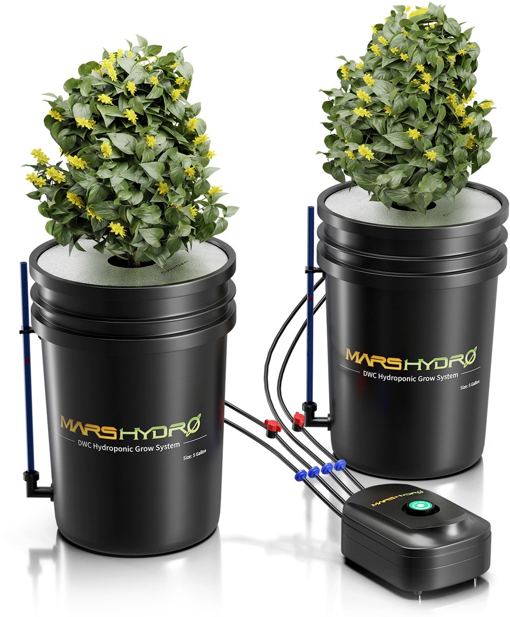 Hydrocultuur Systeem Kit – DWC - Premium Mars Hydro 5-Gallon - 19 liter – 2 Emmers 8 inch - 20,32 cm – Complete Hydroponic Set – Hydrocultuur Kweekset – Binnenkweek Systeem voor Planten, Groenten en Kruiden