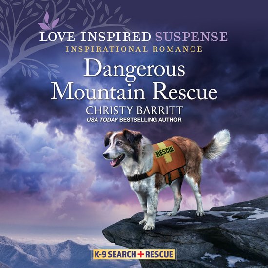 Dangerous Mountain Rescue - cover