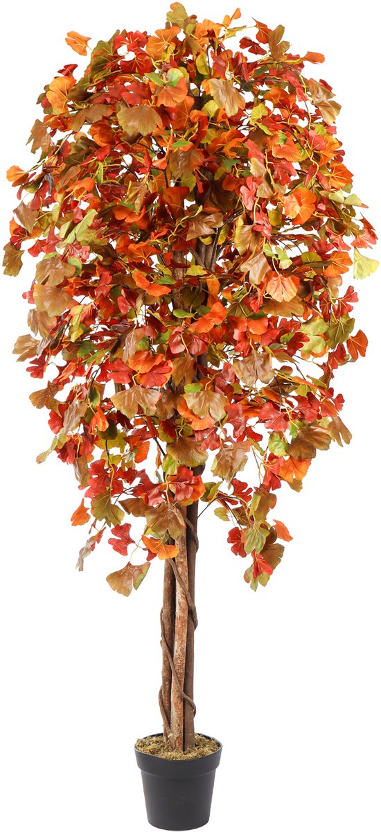 Kunstpalm Kunst Ginkgoboom Herfstkleur – 180 cm – Volle Boom – Warme Oranje Tinten – In Pot Donkerbruin