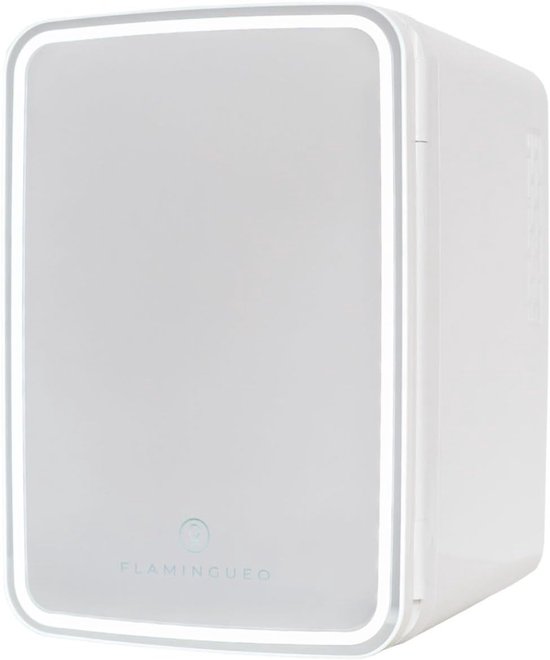 Foto: Mini koelkast 10l cosmetische koelkast met spiegel en led draagbare koeler met warm en koud functie