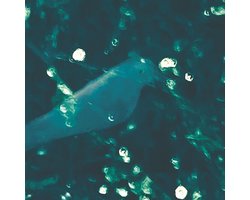 Doug Wieselman - WA-Zoh (LP)