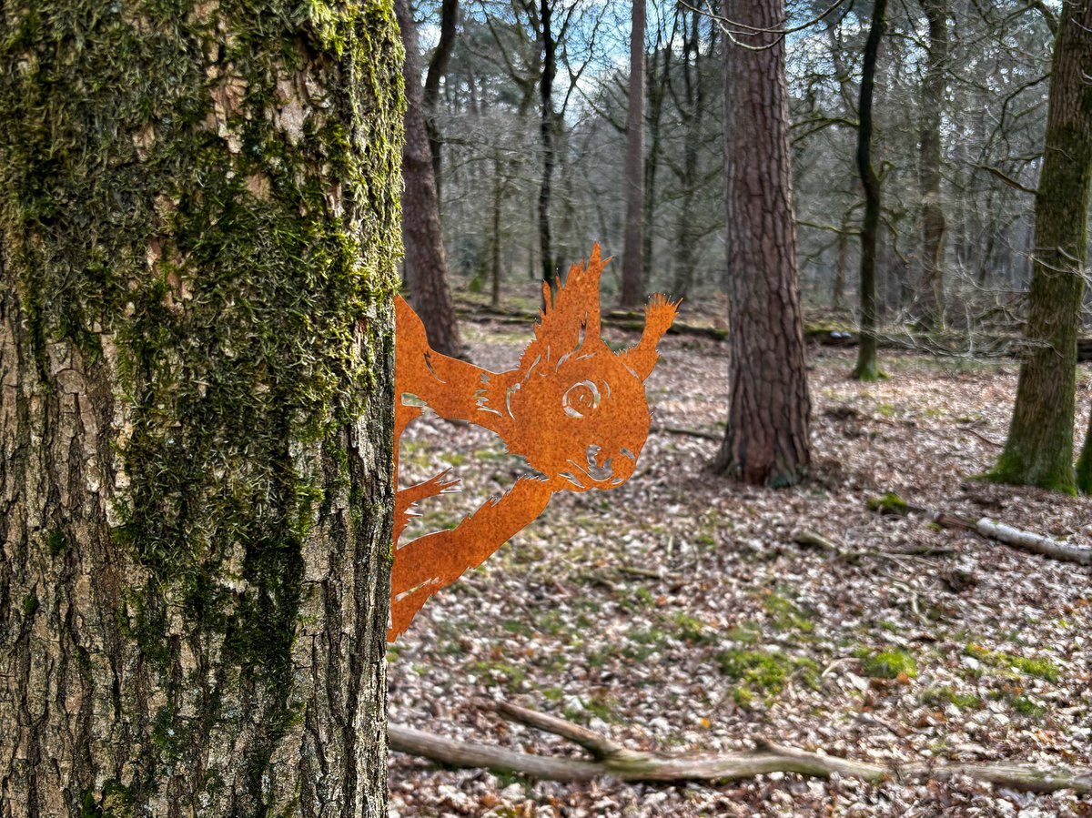 Glurende Eekhoorn Boomprikker- Metaal silhouet - Cortenstaal - Tuindecoratie - In boom/ hout - Steelhout - Eekhoorn Hoofd