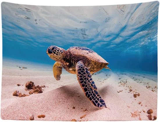 Une grande tortue marine nage sous l'eau au-dessus d'un fond sableux avec des rochers. La lumière du soleil filtre à travers l'eau bleue.