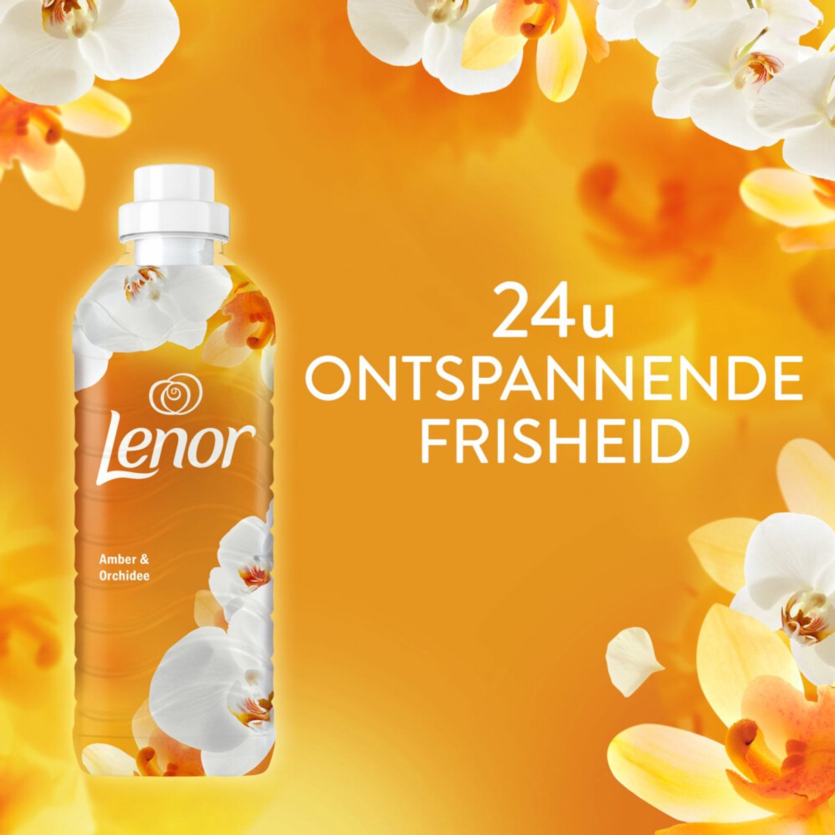 Goedkoopste Lenor Wasverzachter Amber & Orchidee 55 Wasbeurten 1155 ml