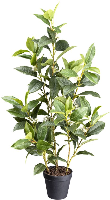 Kunstplant Ficus Crazy 150 cm -Easyplants Kunstplanten