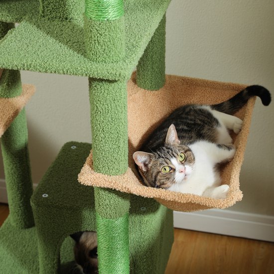 Groene krabpaal met bruine hangmat. Kat ligt in de hangmat, een andere kat kijkt uit een holletje.