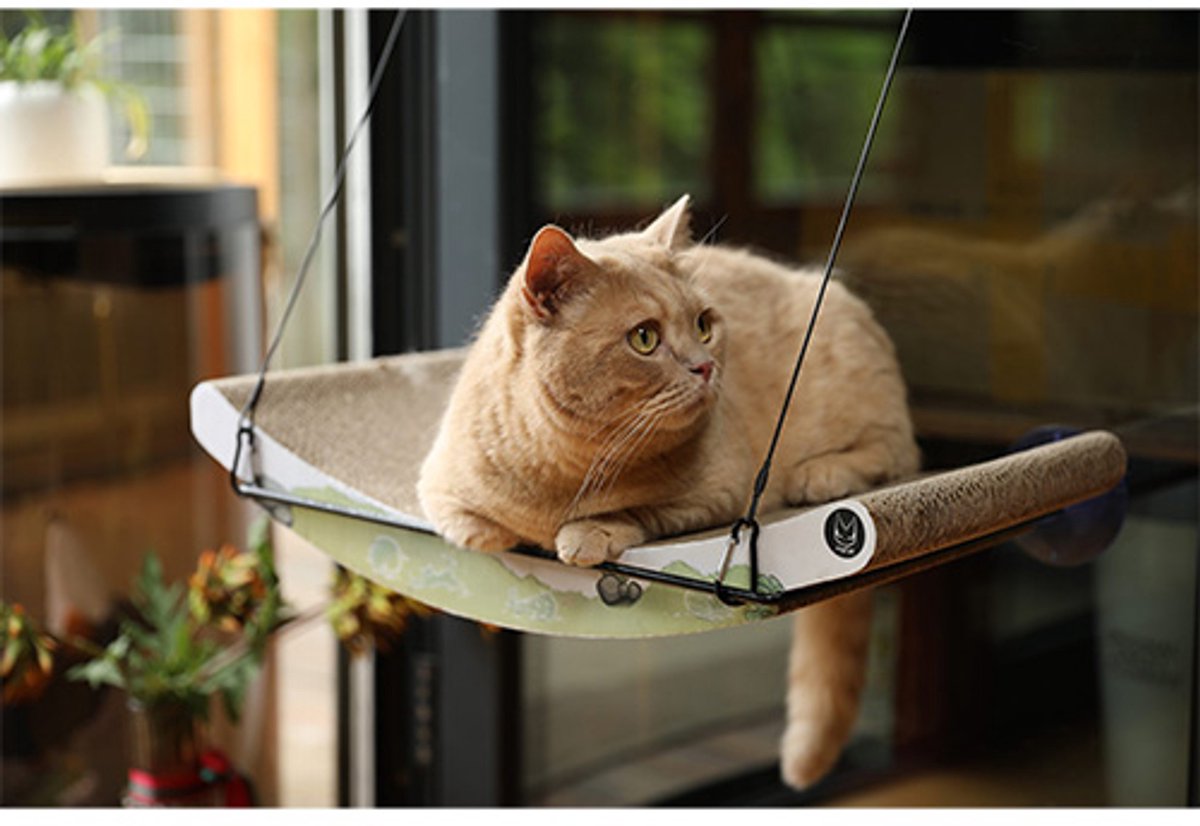 Kattenhangmat Raammodel - 50x30x10/65 cm