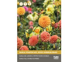 foto van Tuin de Bruijn® zaden Dahlia Pompon Mix - prachtige dubbele bloemen - trekt vlinders aan