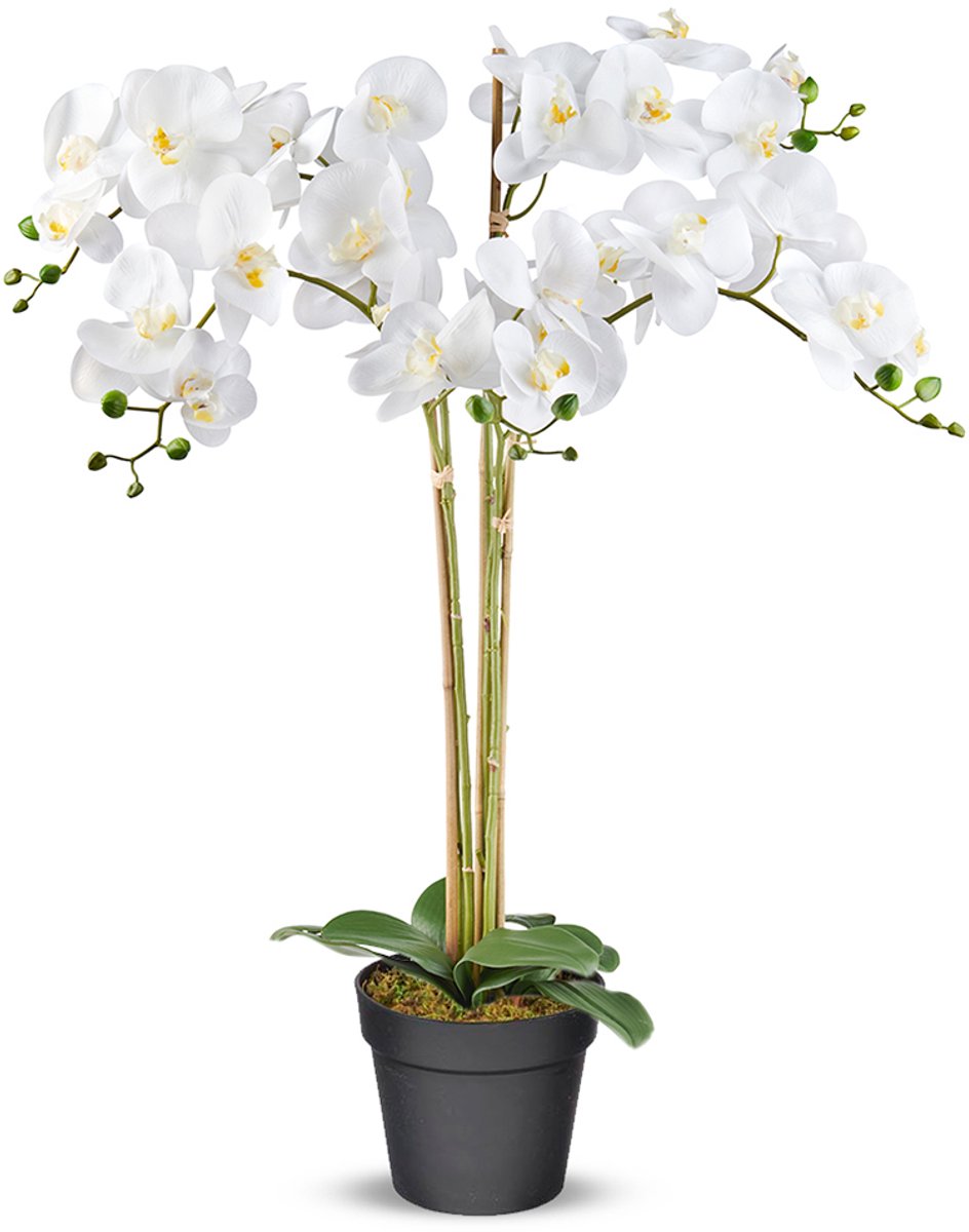 Kunstplant Orchidee / Phalaenopsis XXL 5-tak wit H90cm - HTT Decorations kunstplanten