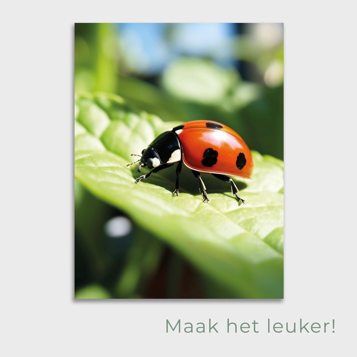 Tuinposter Lieveheersbeestje - Posters voor in de tuin - Tuindecoratie - Tuinposter - 50 x 70 cm