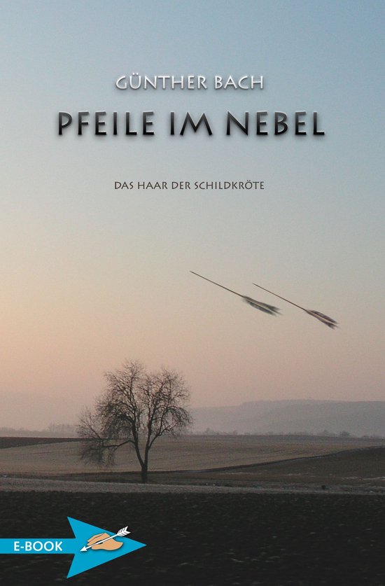 Pfeile Im Nebel - cover