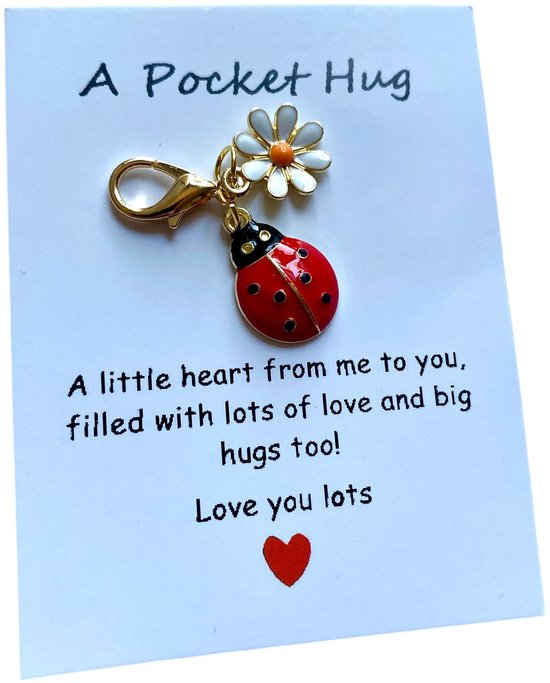 Un câlin de poche - Coccinelle - Achat chanceux - Amour - Amour - Geluk - Cadeau - Souhait