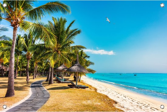 Tuinposter Tropisch Pad langs het Strand – 120x80 cm – UV-bestendig Biosnyl Spandoek – Buitenposter met Ringen – VGD-sign