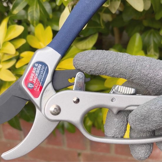 Snoeischaar met Ratelwerking voor Dikke Takken en Houtachtige Stengels van TalenTools — afbeelding 5