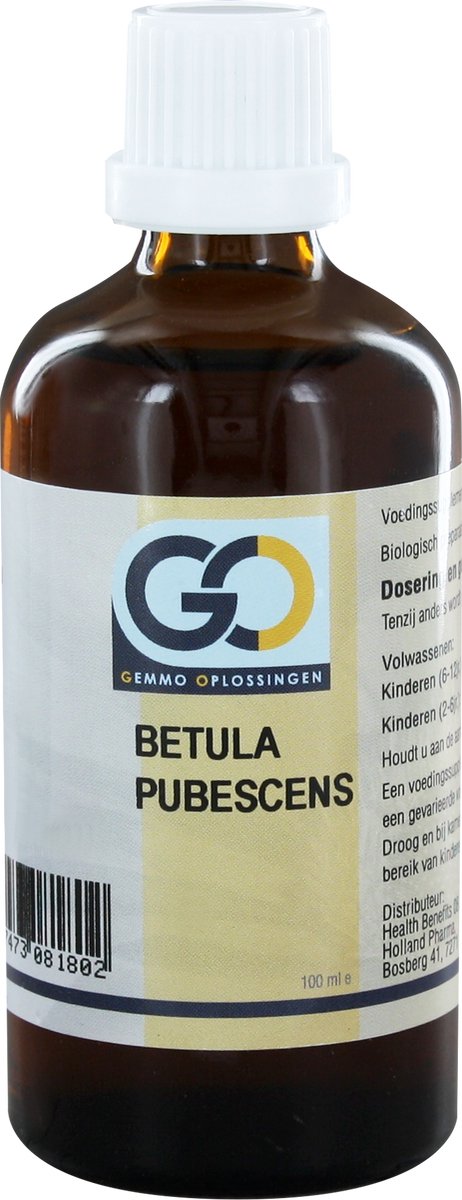 Go Betula Pubescens