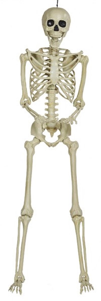 Halloween Hangdecoratie: Skelet - 210cm