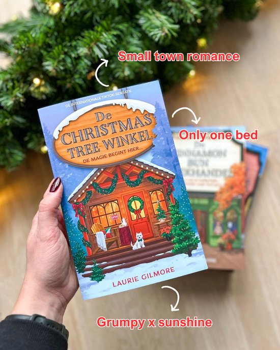 Dream Harbor 3 - De Christmas Tree Winkel