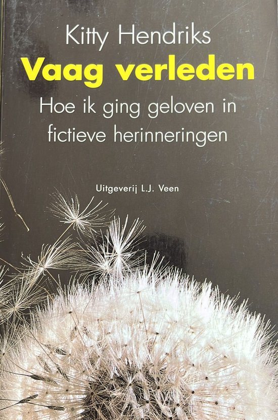 Vaag Verleden - cover