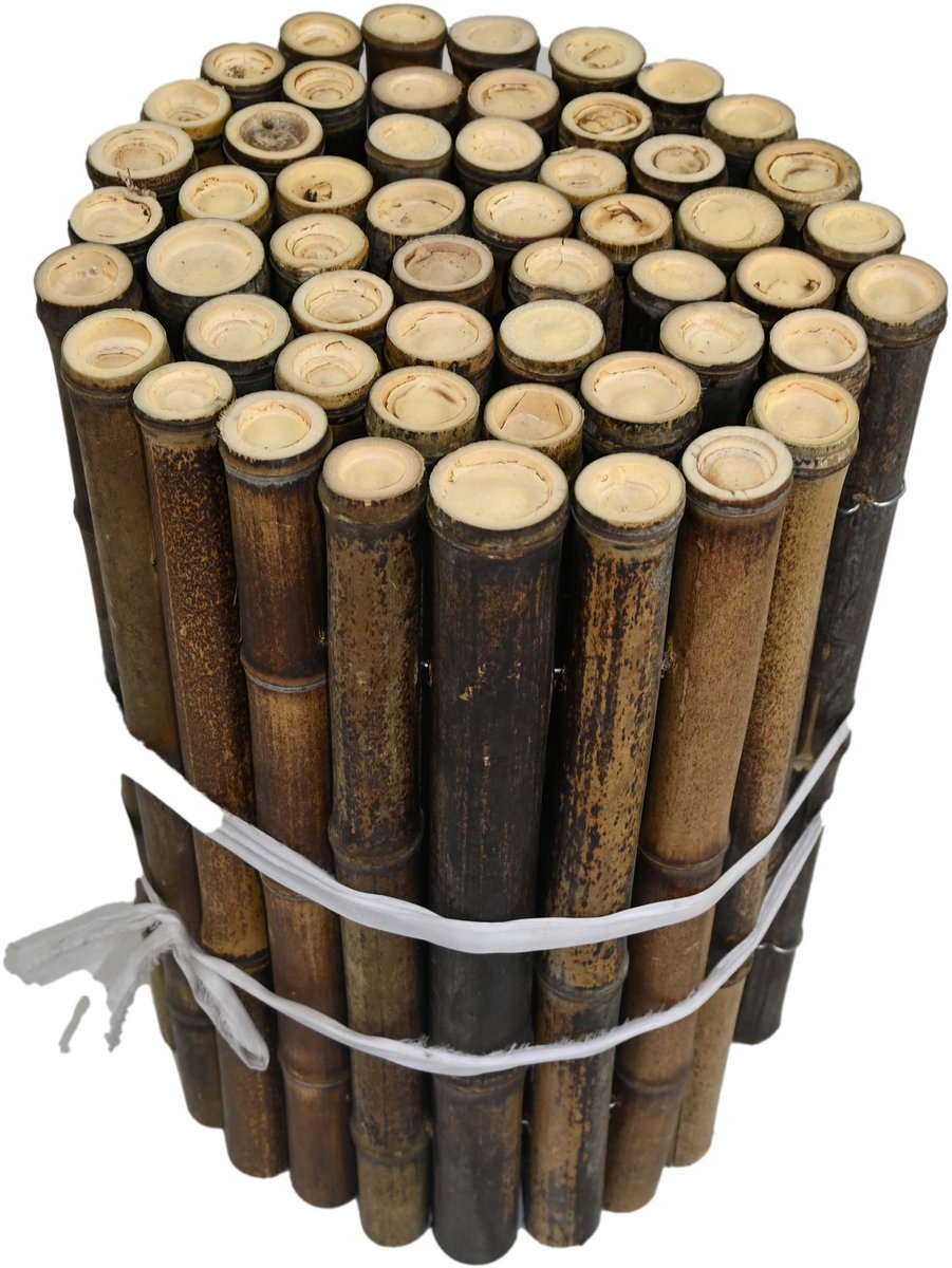 TuinChamp Bamboe border rand zwart 45 x 200 cm