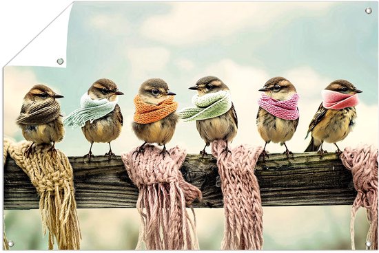 Schattige vogels met kleurrijke sjaals - Vogels tuinposter - Tuinversiering sjaals - Realisme kunststroming - Tuindecoratie poster - Tuin schilderij - tuinposter 60x40 cm