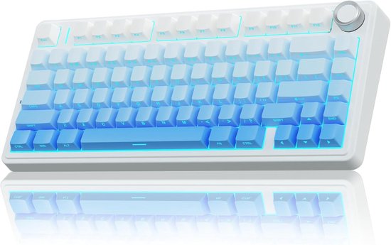 EPOMAKER x AULA F75 - Blauw - Side Printed - Mechanisch Draadloos Toetsenbord - RGB - 75% - QWERTY - Gaming Keyboard - LEOBOG Reaper Switch