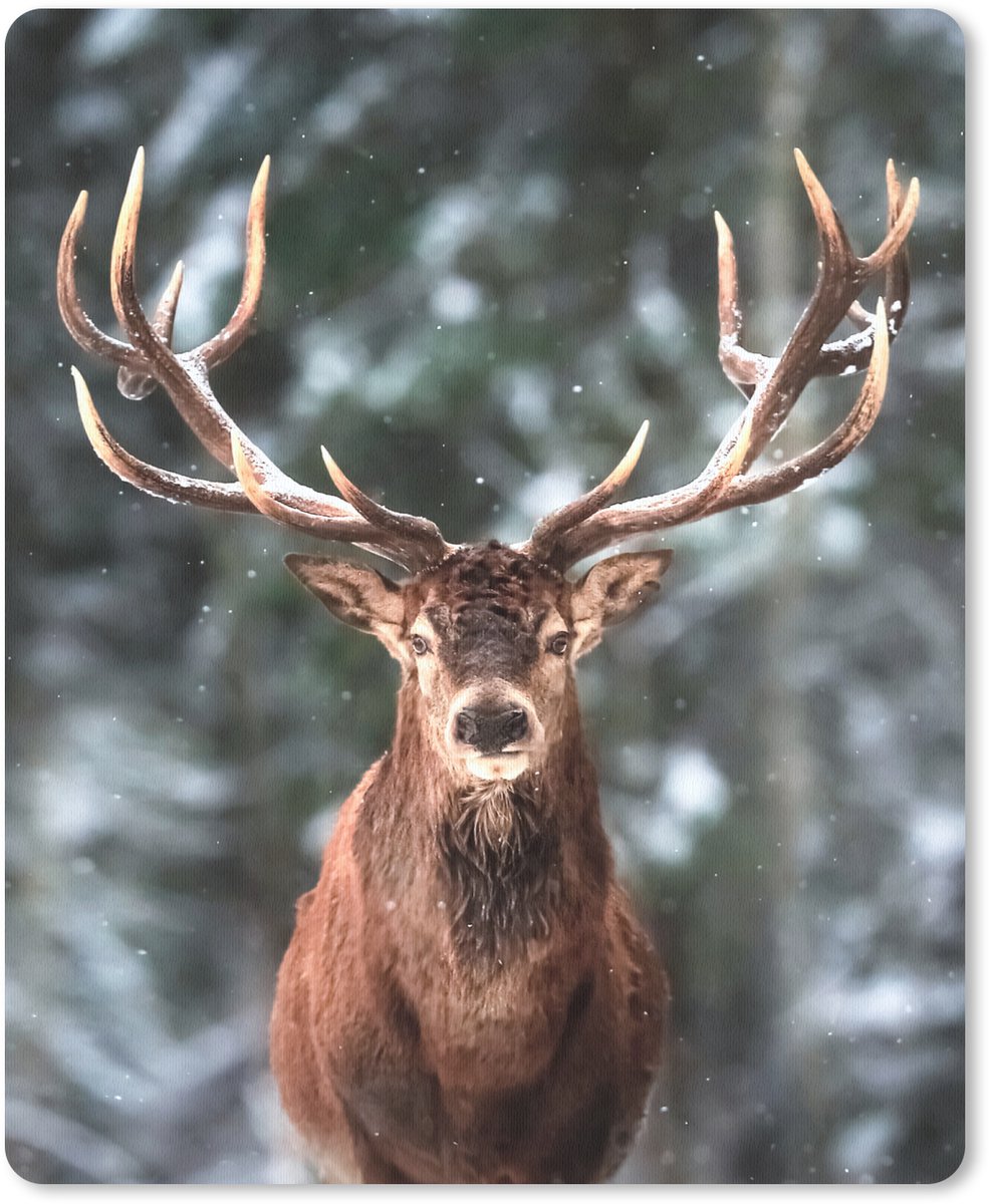 Muismat 19x23 cm - Mousepad Hert - Winter - Sneeuw - Bos - Natuur - Dier - Muismatten
