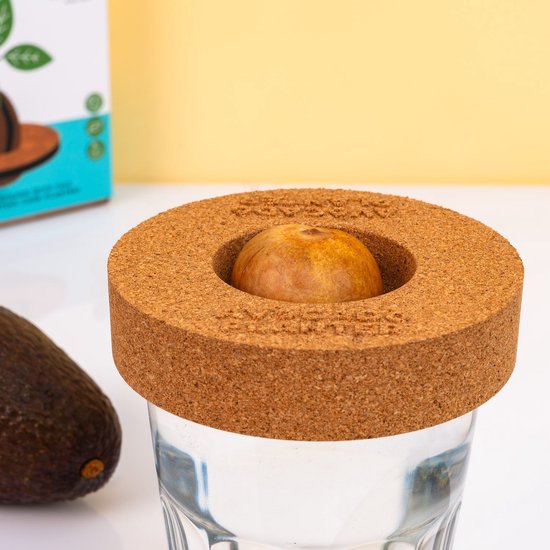 Gift Republic Kurken Ontkiemset Voor Avocado's van Gift Republic — afbeelding 3