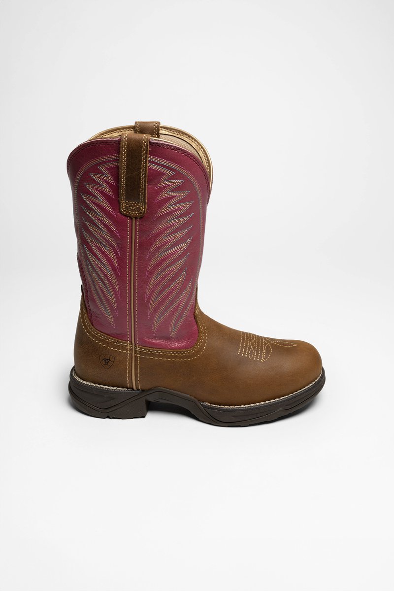 Koop Ariat Anthem Lacer dames halflange laarzen Koop Ariat Anthem Lacer dames halflange laarzen