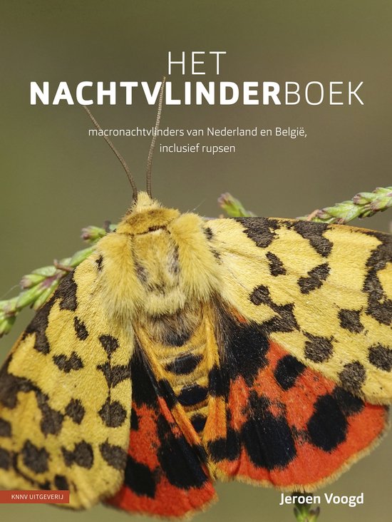 Het nachtvlinderboek - cover