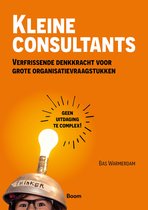 Oranje cover met de titel "KLEINE CONSULTANTS" en een gloeiende lamp op een helm met de tekst "THINKER".