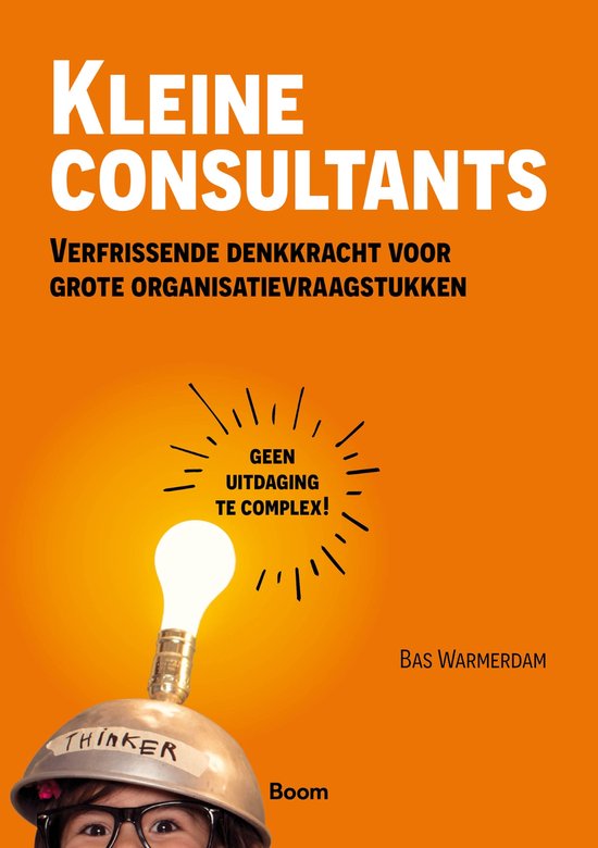 Kleine consultants - cover