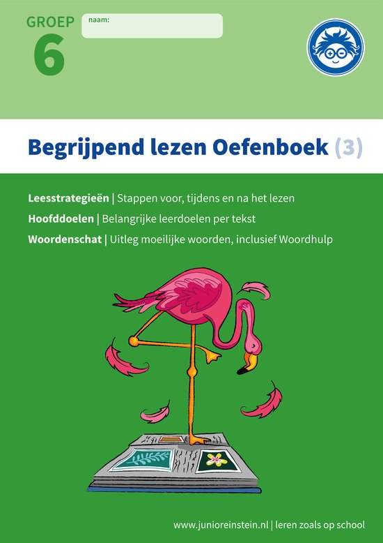 Deel 3 - Begrijpend Lezen 3 Verschillende type teksten en bi ... - cover