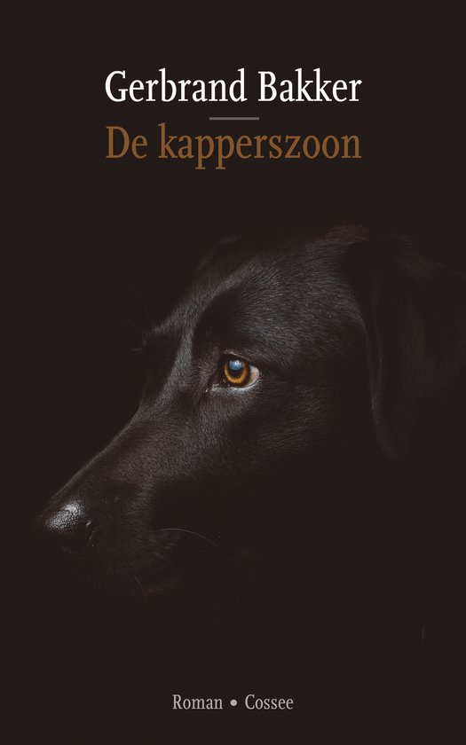De kapperszoon - cover