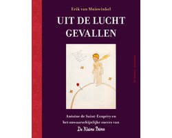 Omslag van Uit de lucht gevallen