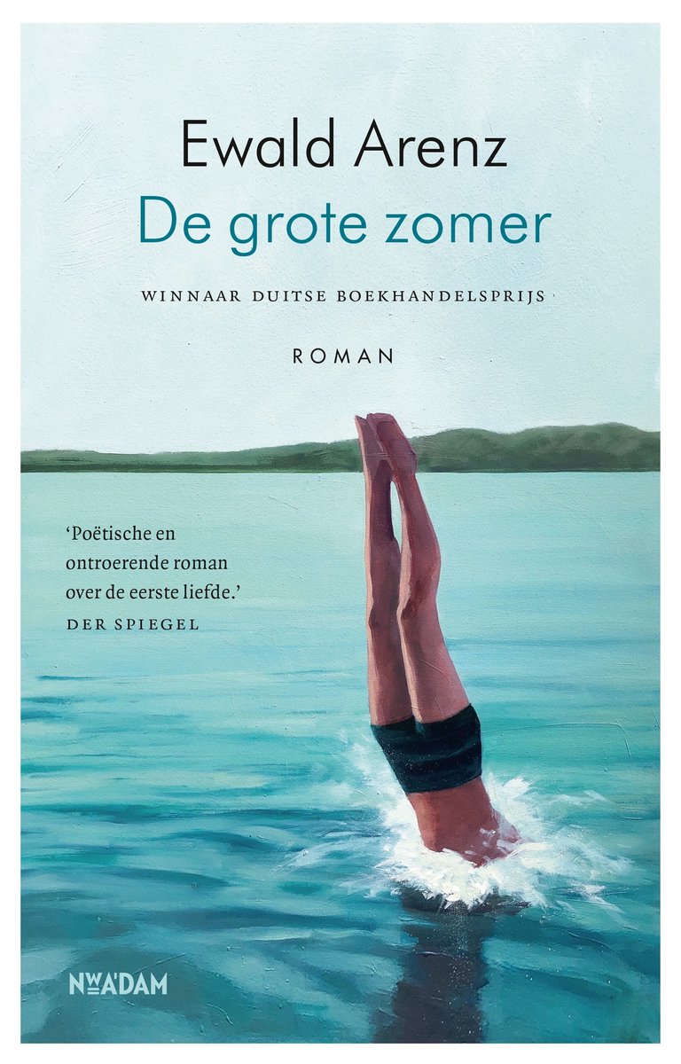 Omslag van De grote zomer