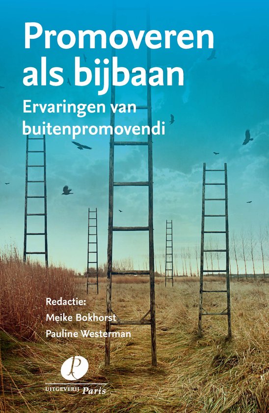 Promoveren als bijbaan - cover