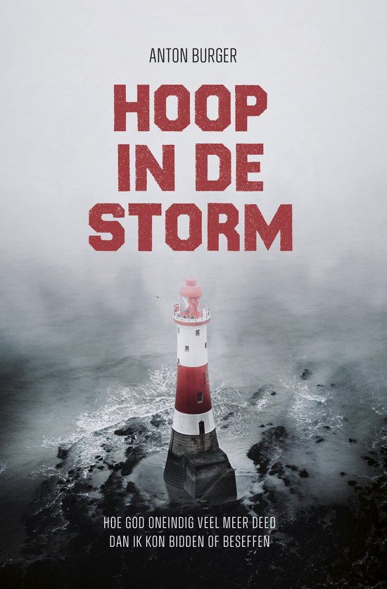 Omslag van Hoop in de storm