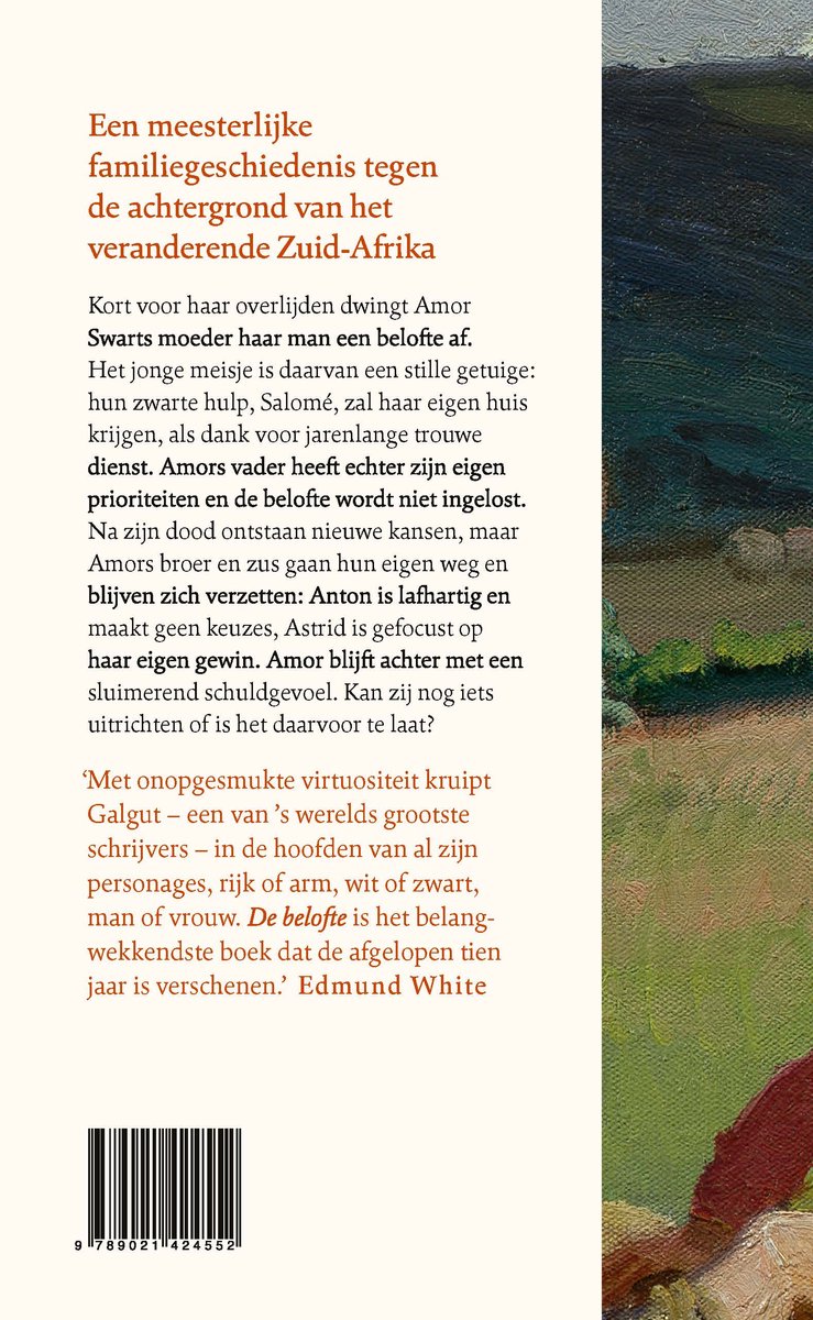Achterkant van het boek 'De belofte' van Damon Galgut, met tekst over het verhaal en een recensie.