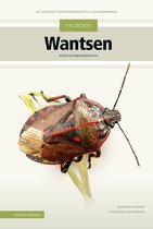 Een grote, rood-zwarte wants met een lichtbruin schild, zittend op groene stengels.