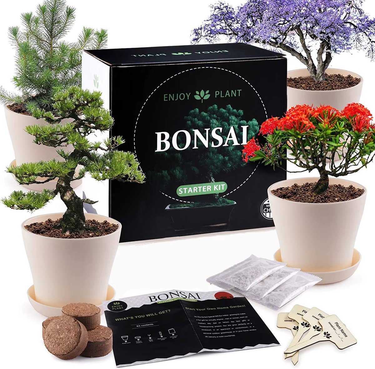 LotaHome - Bonsai Starters Kit - Bonsai Boom Kweken - Bonsai Zaden Kit - 25 Delige Kweekset - Bonsai Boompje - Binnen Boomp Kweken - Kamerplanten - Schoonmaak Set, Schaar, Informatieboek en Potgrond - DIY - Complete Set - 160 Bonsai Zaden - Cadeau