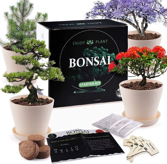 LotaHome - Bonsai Starters Kit - Bonsai Boom Kweken - Bonsai Zaden Kit - 25 Delige Kweekset - Bonsai Boompje - Binnen Boomp Kweken - Kamerplanten - Met Schoonmaak Set, Schaar, Informatieboek en Potgrond - DIY - Complete Set - 160 Bonsai Zaden