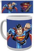 DC Comics Justice League Superman Mok
