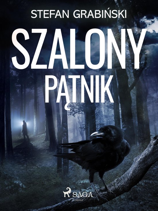 Szalony pątnik - cover