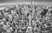 Frans van Steijn "New York High B&W" op Dibond 120cm