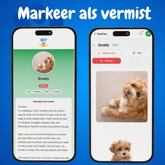 Gepersonaliseerde penningen en naamplaatjes voor huisdieren | Katten en Honden