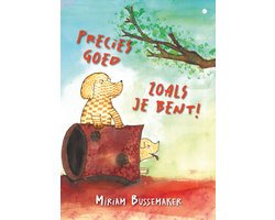 Omslag van Precies goed zoals je bent!